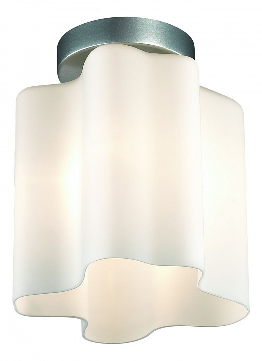 Накладной светильник ST-Luce Onde SL116.502.01 от магазина LiaLight